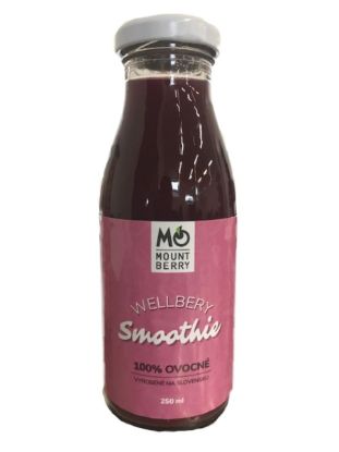 Obrázok z Smoothie - WELLBERY 250ml